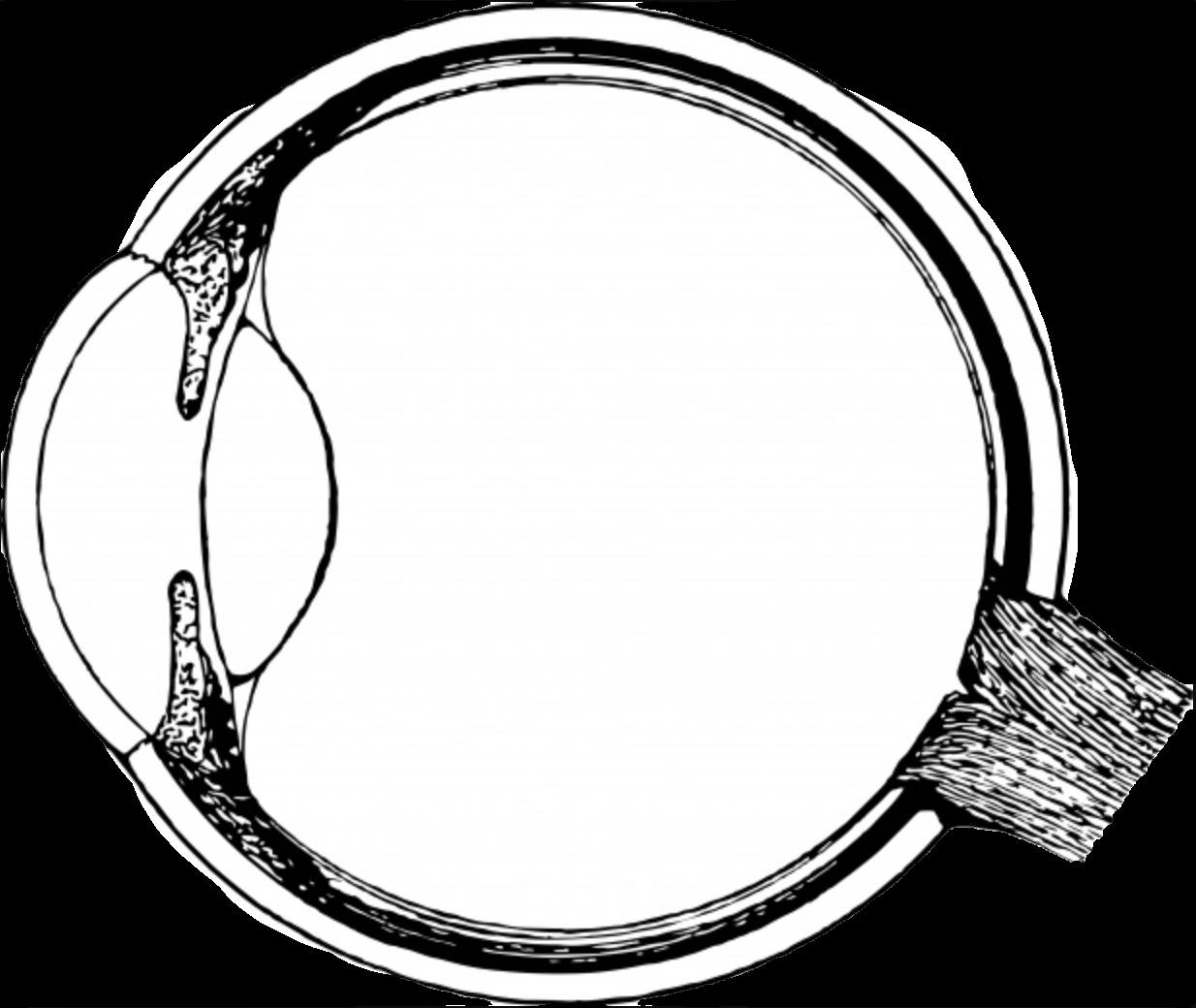 VOMS-100 3D Operating Microscope (Ophthalmology) by MEDILIFE — image 7